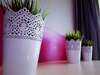 Апартаменты Apartments Daria Nezavisimosti Минск-0